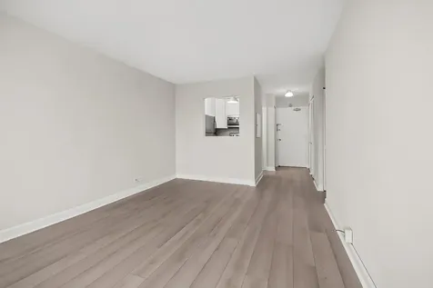 1360 North Sandburg Terrace Chicago IL 60610