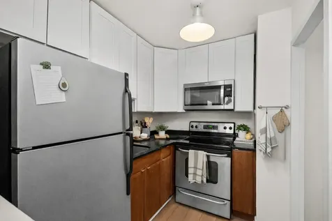 1360 North Sandburg Terrace Chicago IL 60610