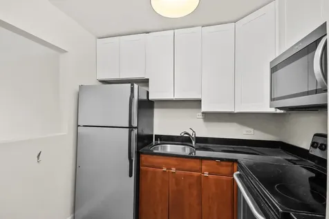 1360 North Sandburg Terrace Chicago IL 60610
