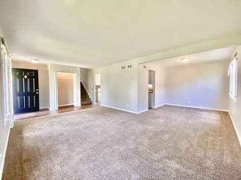 22962 Bruce Drive Richton Park IL 60471