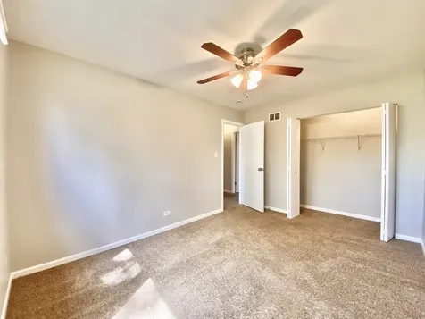 22962 Bruce Drive Richton Park IL 60471