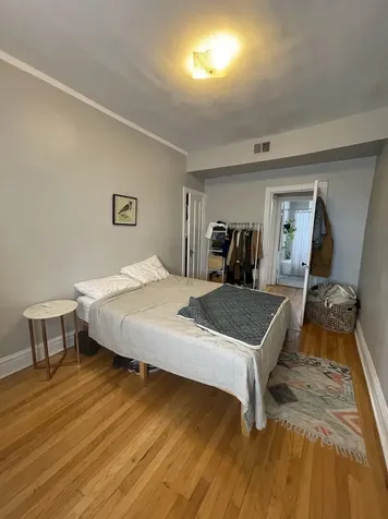 2910 North Albany Avenue Chicago IL 60618