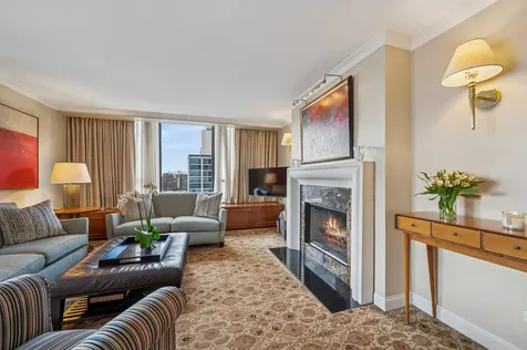 1313 North Ritchie Court Chicago IL 60610
