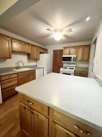 1106 Wildberry Court Wheeling IL 60090
