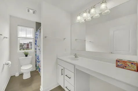 5 Nelson Lane Hawthorn Woods IL 60047