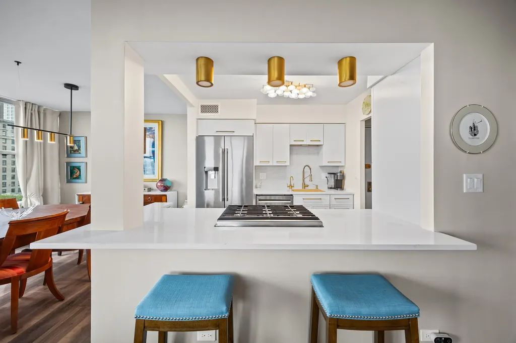 1000 North Lake Shore Drive Chicago IL 60611