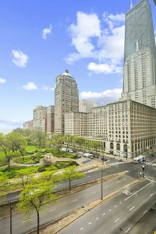 1000 North Lake Shore Drive Chicago IL 60611