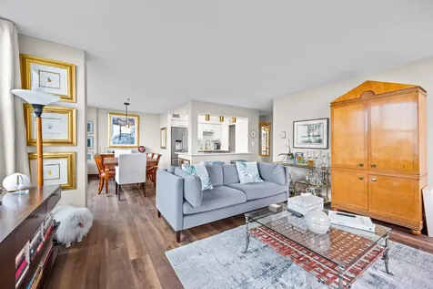 1000 North Lake Shore Drive Chicago IL 60611
