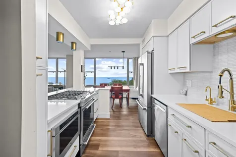 1000 North Lake Shore Drive Chicago IL 60611