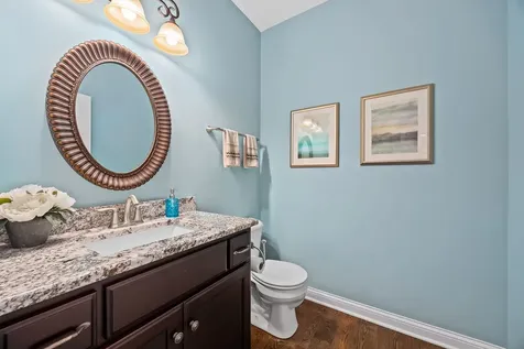 4211 Chinaberry Lane Naperville IL 60564
