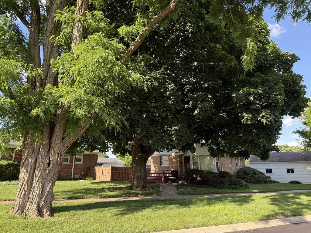 344 East Parallel Street Palatine IL 60067
