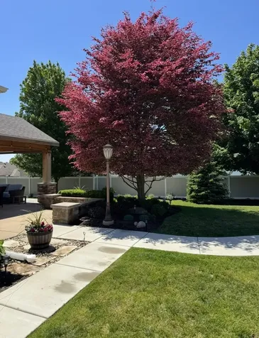 2520 Wall Street Mchenry IL 60051