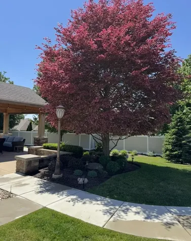 2520 Wall Street Mchenry IL 60051