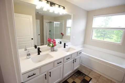 4 Catalpa Court Bolingbrook IL 60490