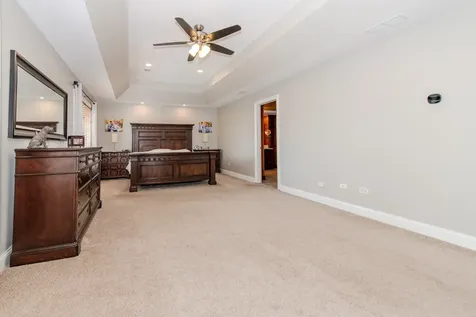 21416 South Majestic Pine Street Shorewood IL 60404