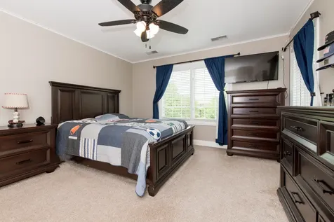 21416 South Majestic Pine Street Shorewood IL 60404
