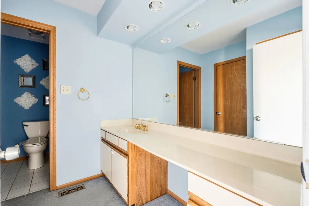1046 Pinewood Drive Downers Grove IL 60516
