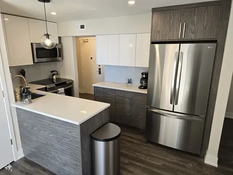 227 East Walton Place Chicago IL 60611