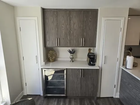 227 East Walton Place Chicago IL 60611