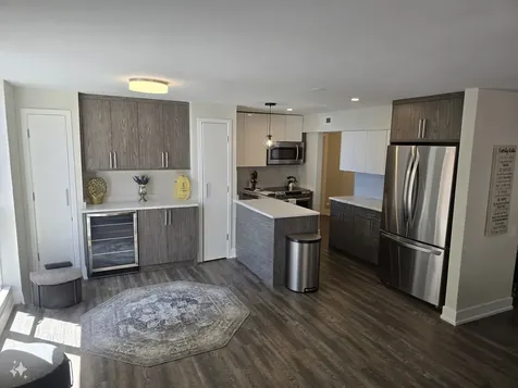 227 East Walton Place Chicago IL 60611