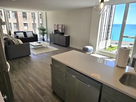 227 East Walton Place Chicago IL 60611