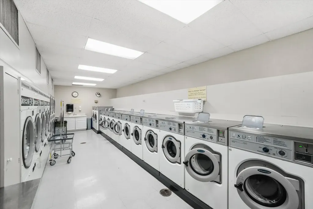 1460 North Sandburg Terrace Chicago IL 60610