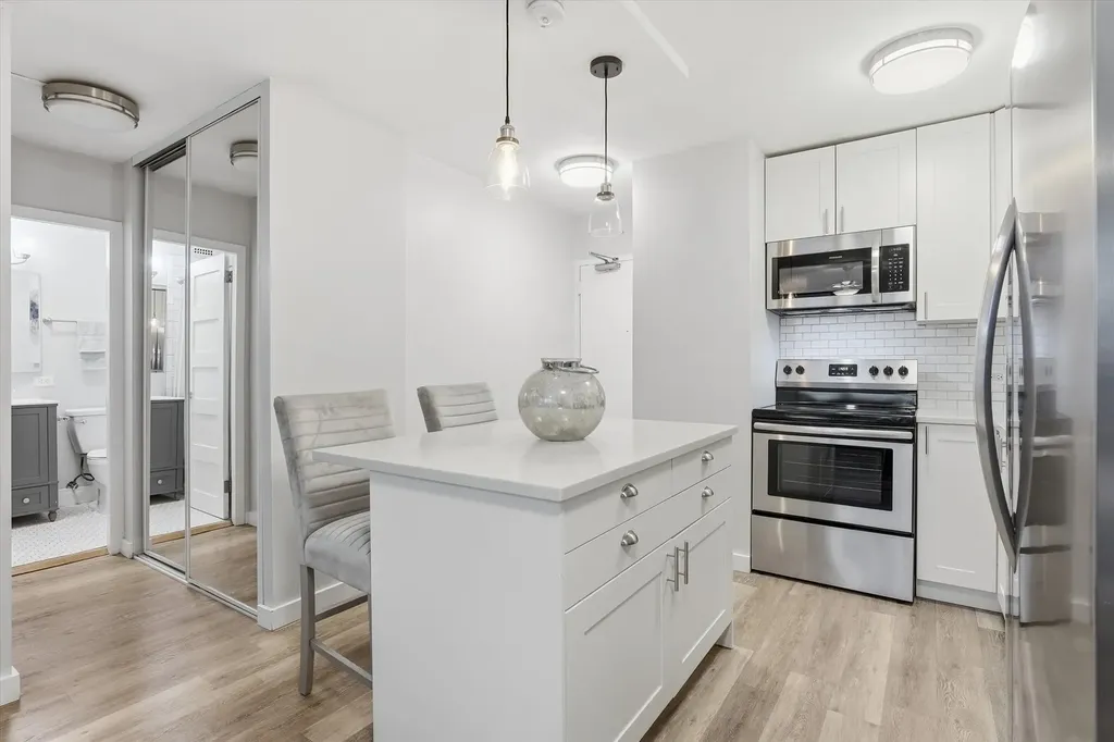 1460 North Sandburg Terrace Chicago IL 60610