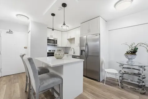 1460 North Sandburg Terrace Chicago IL 60610
