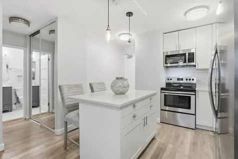 1460 North Sandburg Terrace Chicago IL 60610