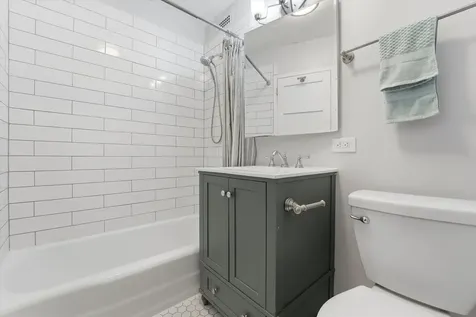 1460 North Sandburg Terrace Chicago IL 60610