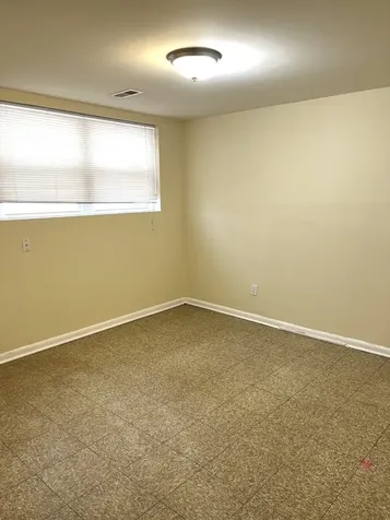 335 East Mulberry Drive Glenwood IL 60425