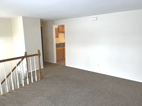 335 East Mulberry Drive Glenwood IL 60425