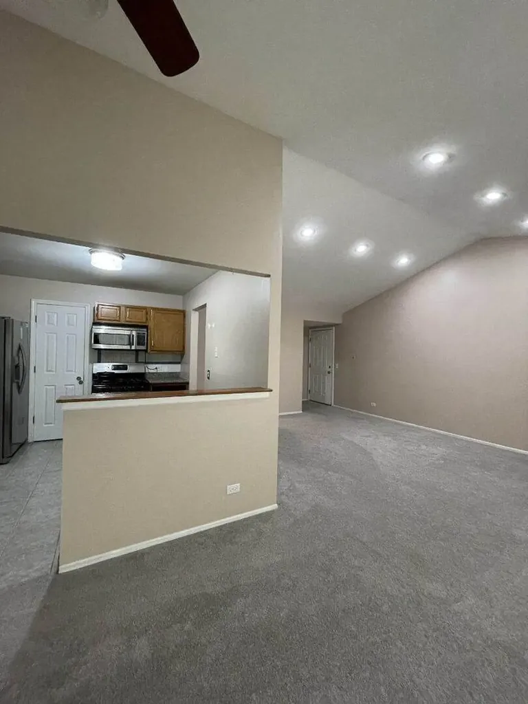 199 Dublin Court Schaumburg IL 60194