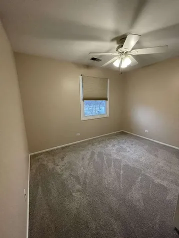 199 Dublin Court Schaumburg IL 60194