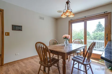 913 Cherokee Court Lake Villa IL 60046