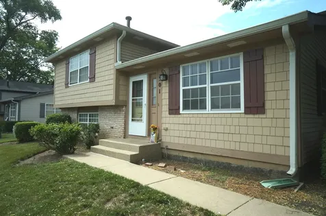 301 Cherrywood Court Vernon Hills IL 60061