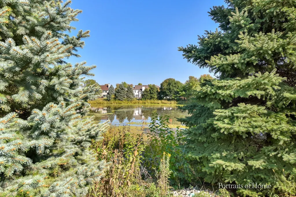2068 Canyon Creek Court Aurora IL 60503