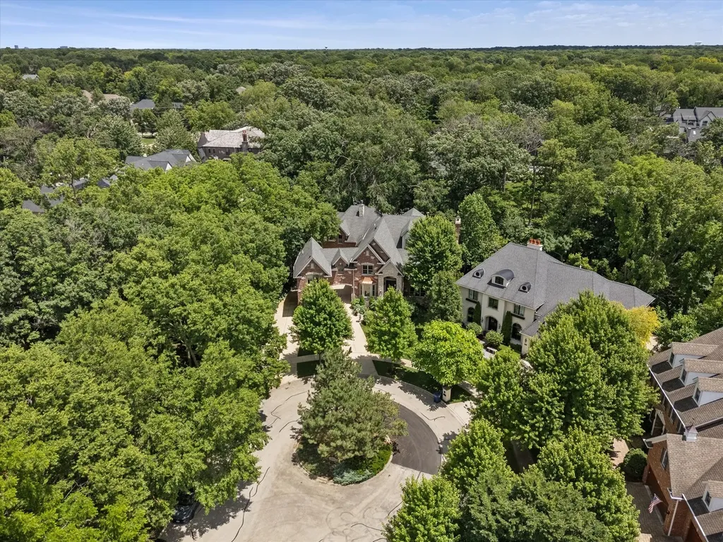616 Driftwood Court Naperville IL 60540