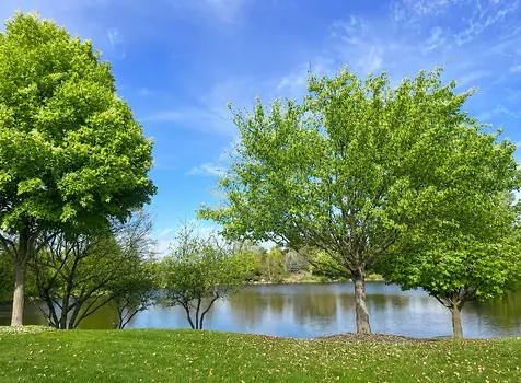 6816 Cobble Springs Lane Wonder Lake IL 60097