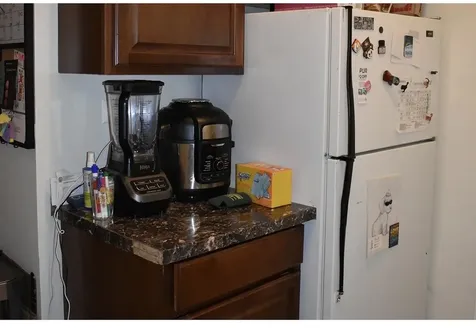 3815 North Greenview Avenue Chicago IL 60613