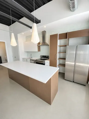 2109 South Halsted Street Chicago IL 60608