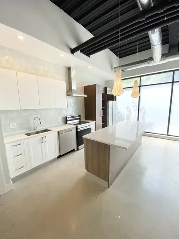 2109 South Halsted Street Chicago IL 60608