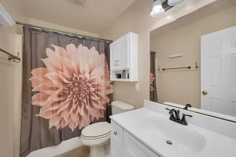 525 Stacey Court Braidwood IL 60408