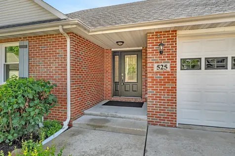 525 Stacey Court Braidwood IL 60408