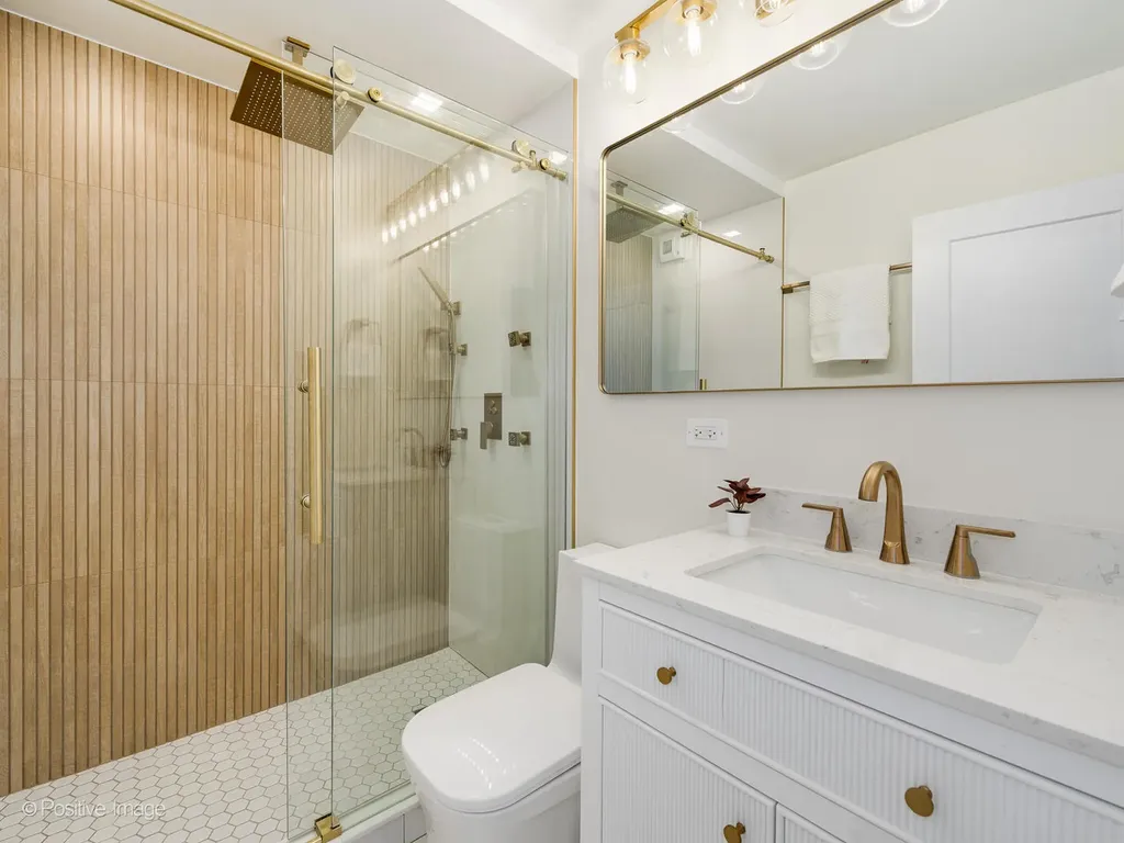 1310 North Ritchie Court Chicago IL 60610