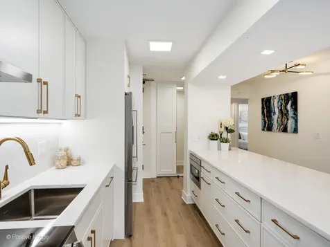 1310 North Ritchie Court Chicago IL 60610
