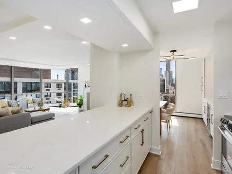 1310 North Ritchie Court Chicago IL 60610