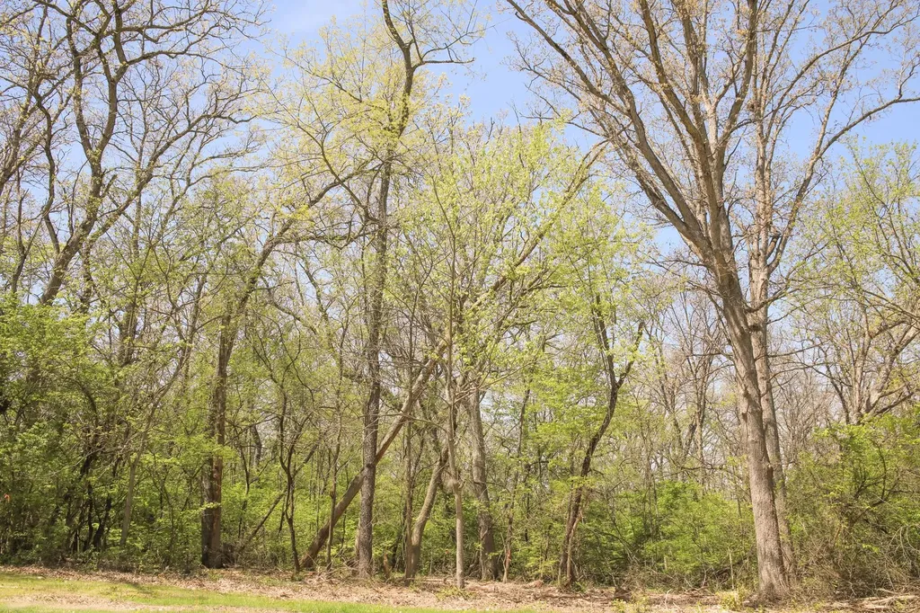 911 Echo (Lot 5) Trail Marengo IL 60152