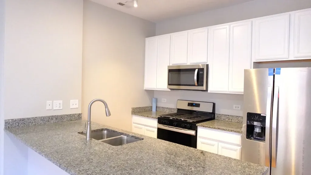 347 East 25th Place Chicago IL 60616