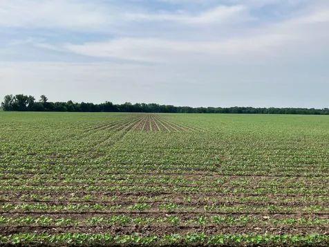 00 Kyte Road Rochelle IL 61068